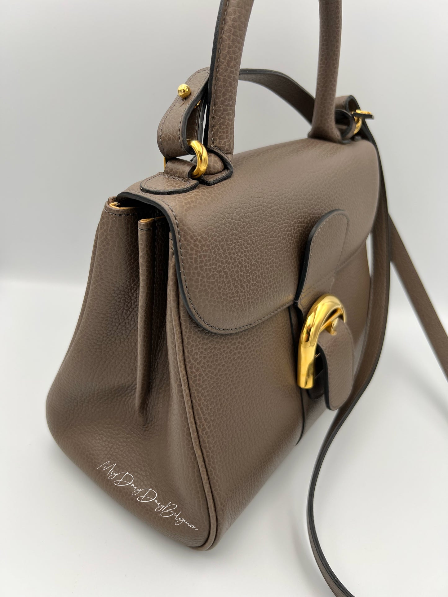 Vintage Delvaux Brillant in Taupe PM early 90s