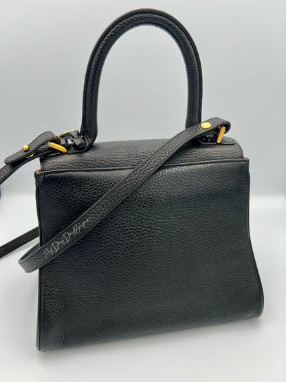 Delvaux Brillant PM in black