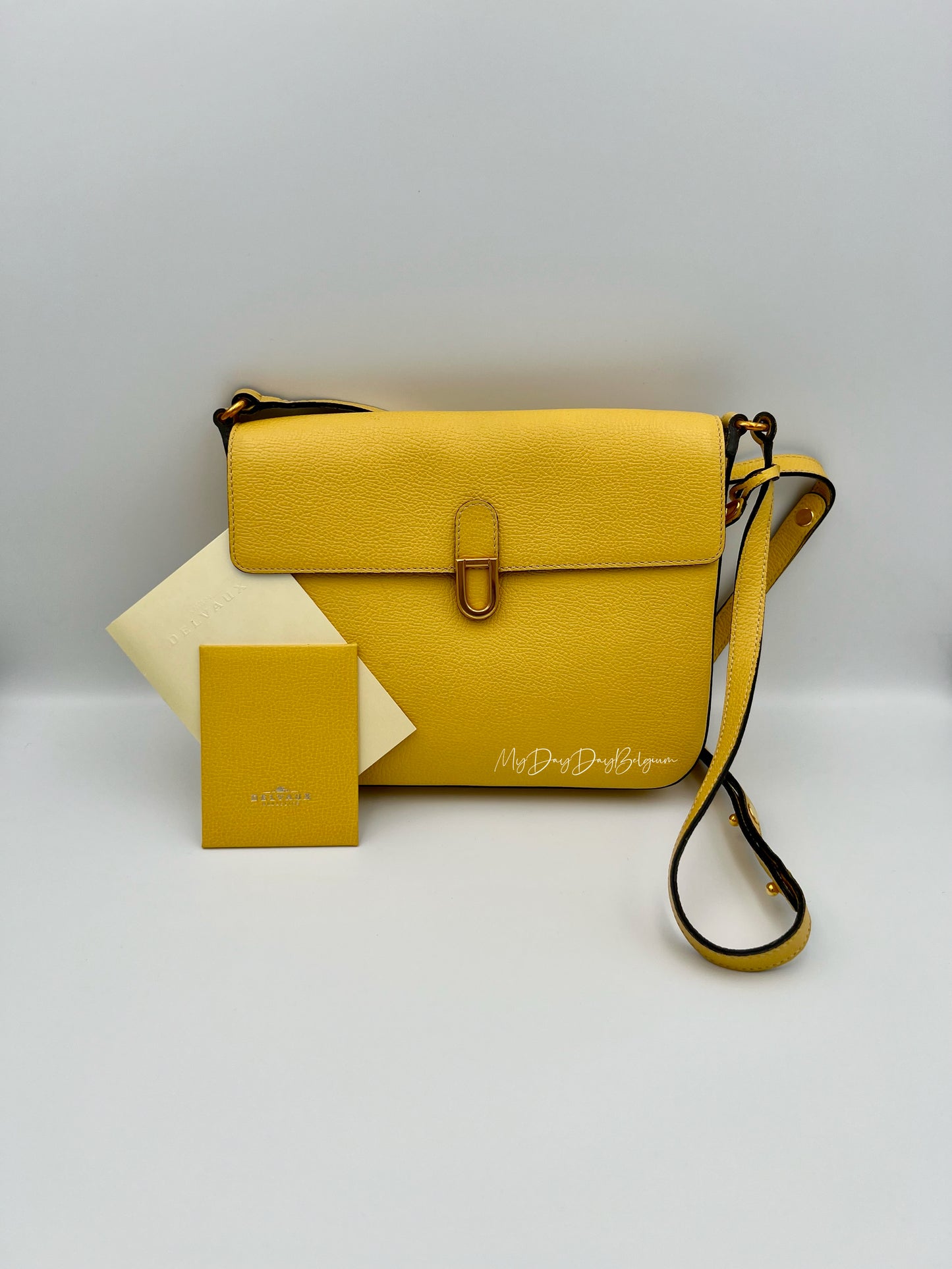 Delvaux crossbody in jumping leather pollen colour 1980s
