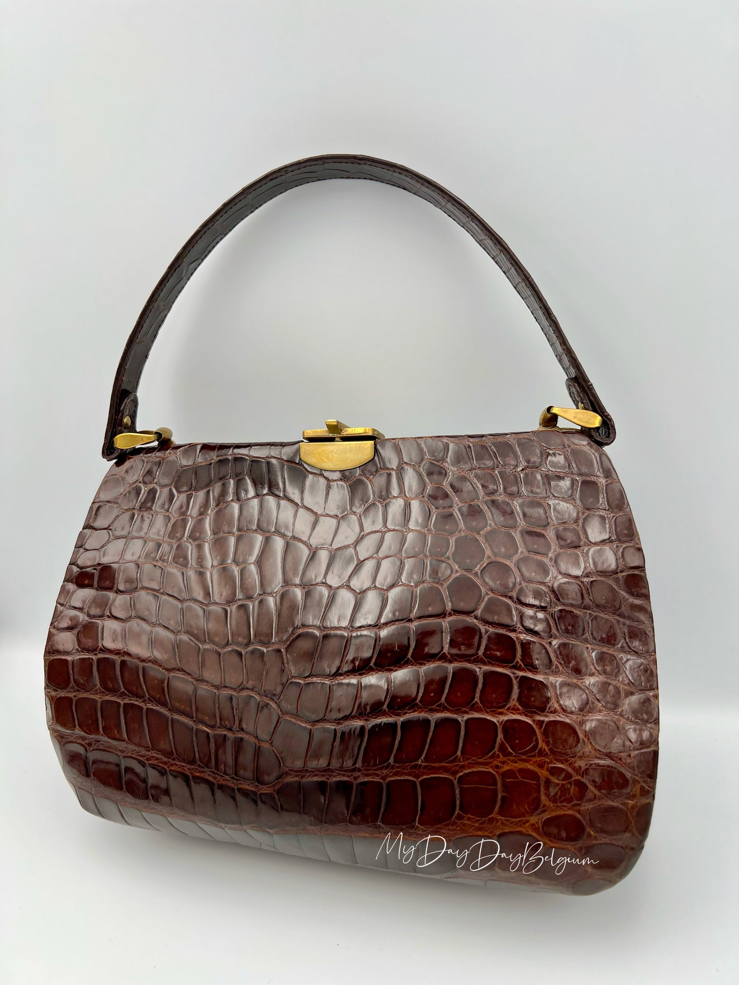 Vintage Delvaux exotic top handle 1954