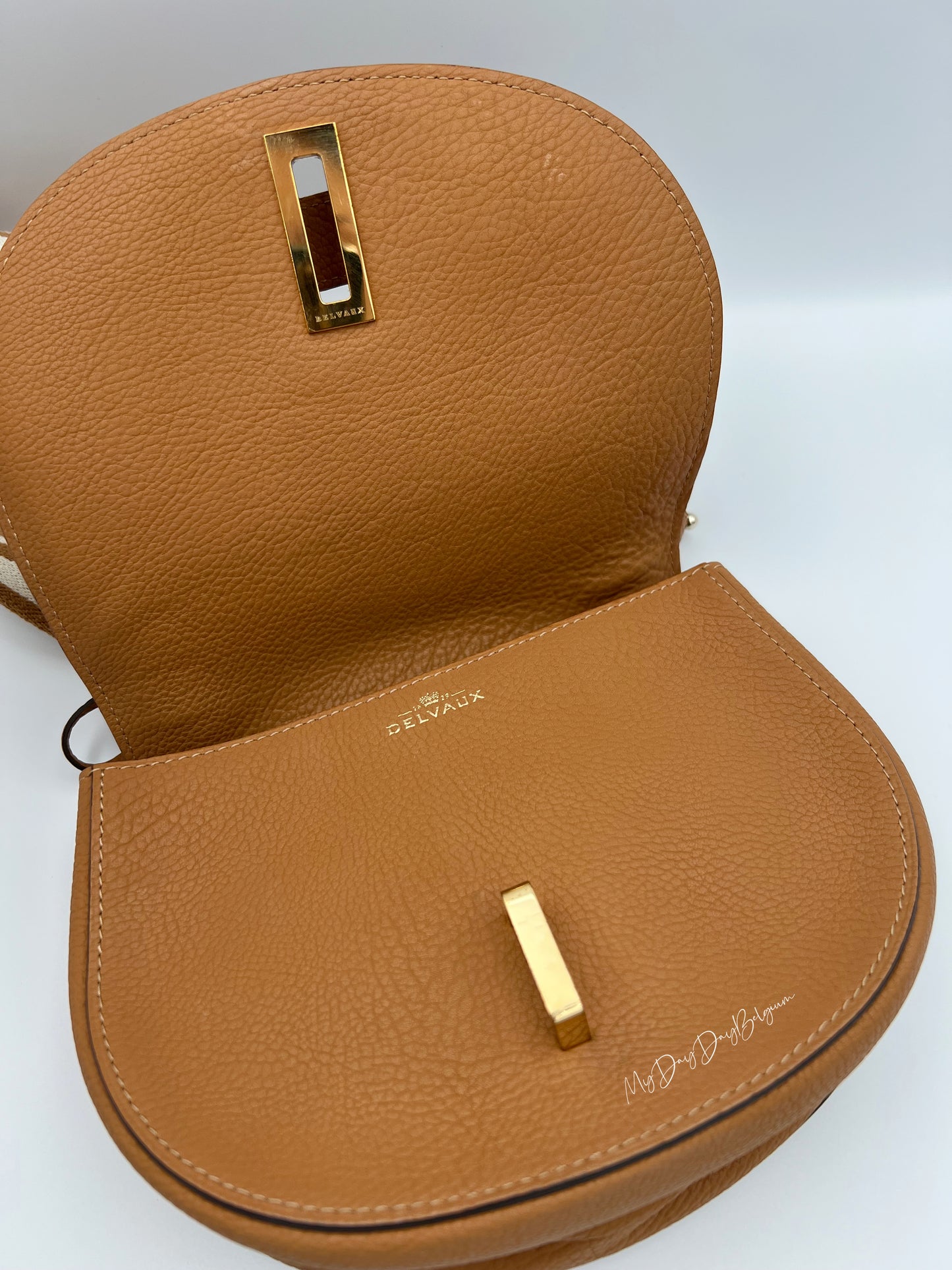Delvaux Mutin mini crossbody bag crispy calf vegetal 2018