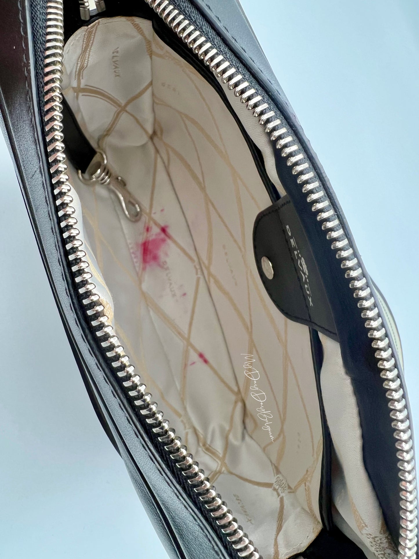 Delvaux Louise crossover camera bag 2015