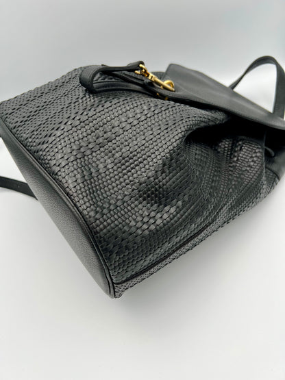 Delvaux Soleil rucksack