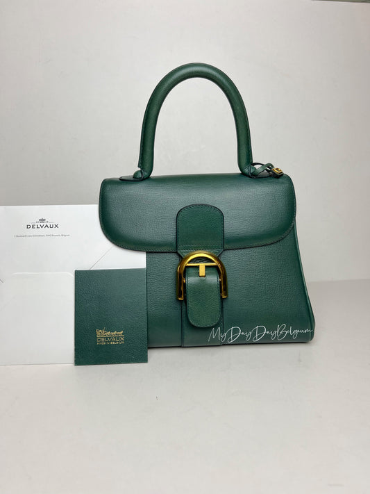 Delvaux Brillant PM in Pine