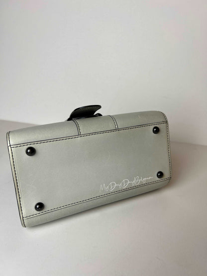 Delvaux Brillant mini