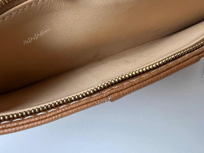 Delvaux Brillant Wallet on Chain Crossbody / Shoulder Bag Vegetale 2021