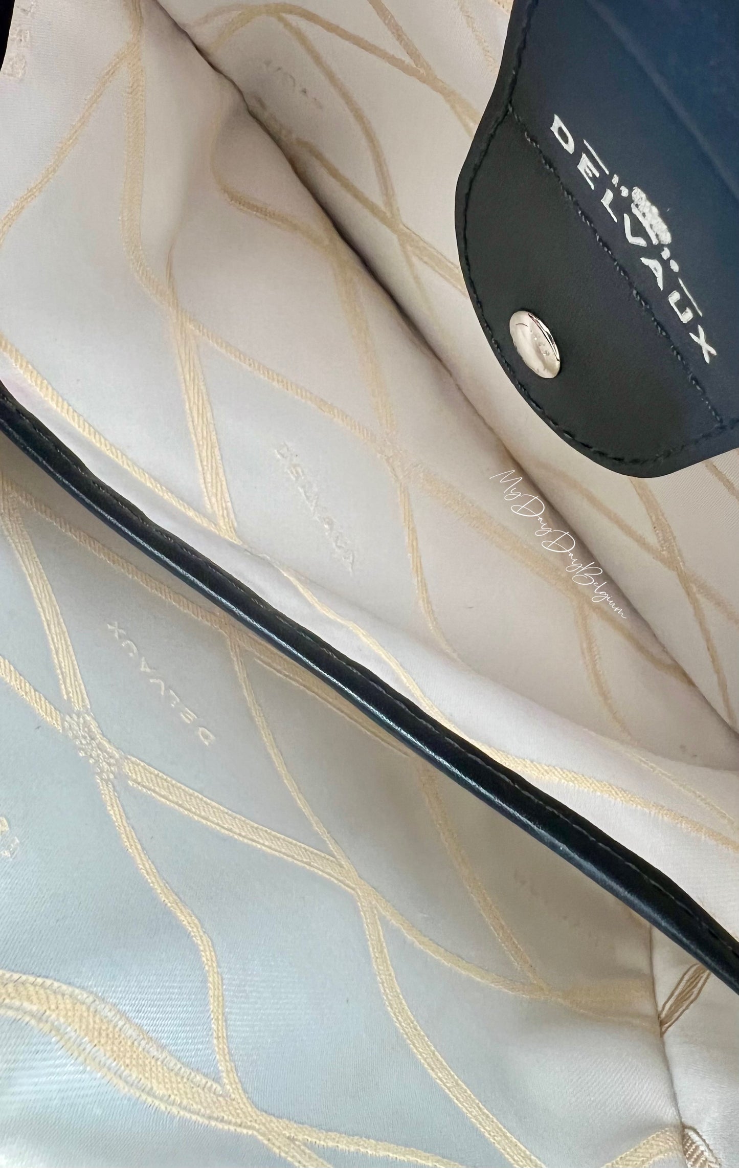 Delvaux Louise crossover camera bag 2015