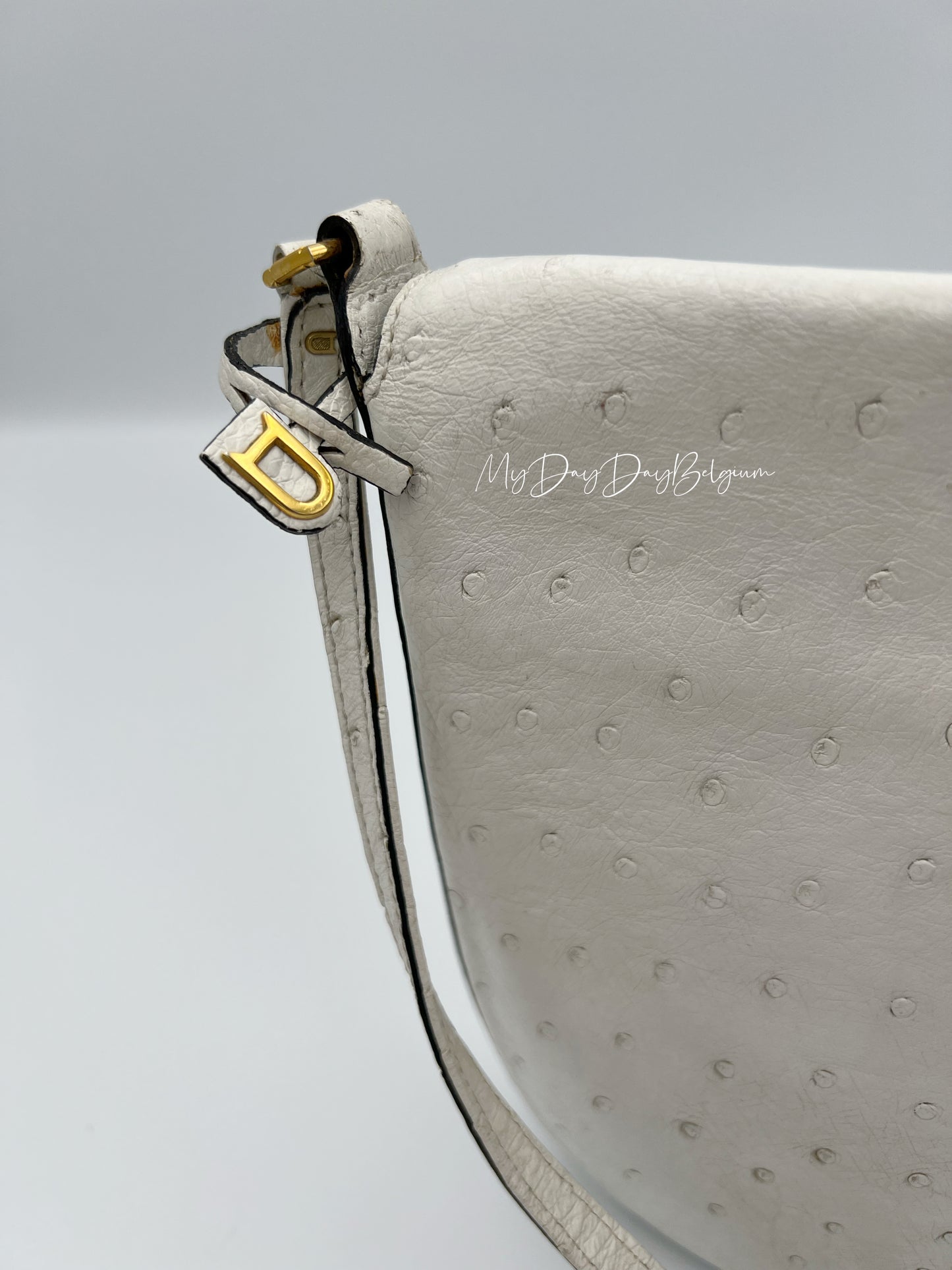 Vintage Delvaux ostrich crossbody 1980’s