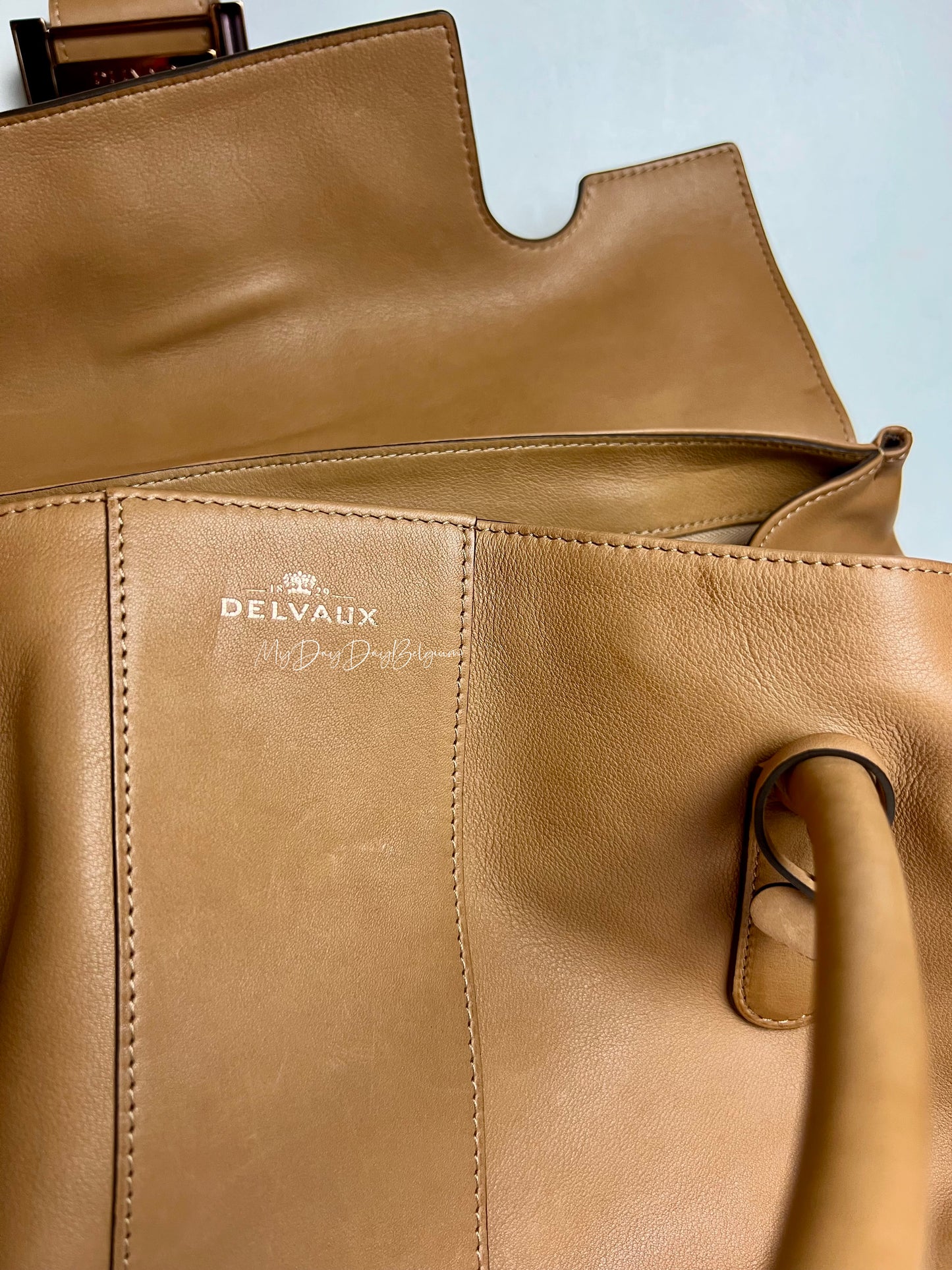 Delvaux Brillant XXL 2021 Végetal colour