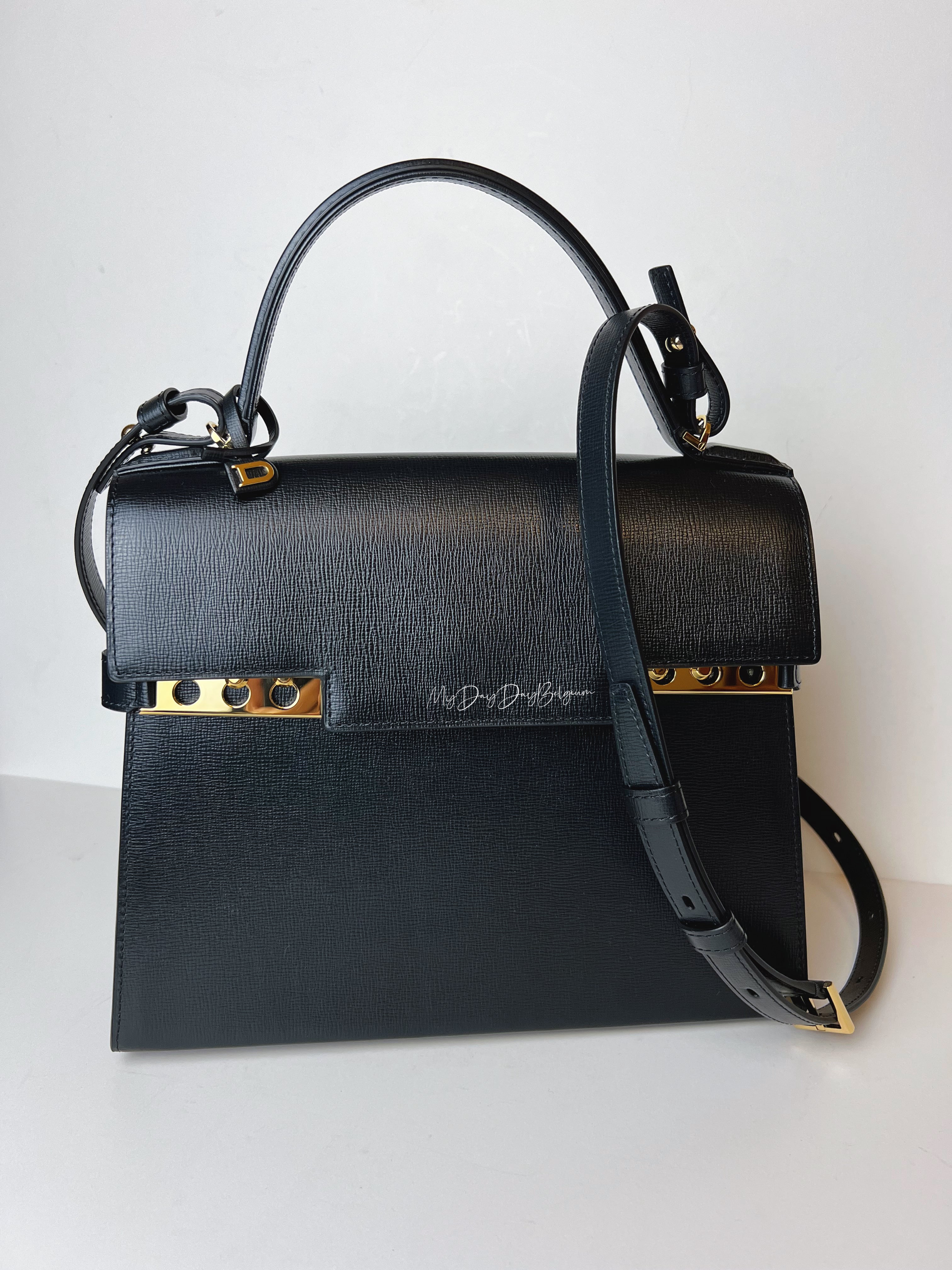 Delvaux Tempete 2023 Opéra Calf - Luxury Handbag – MyDayDayBelgium