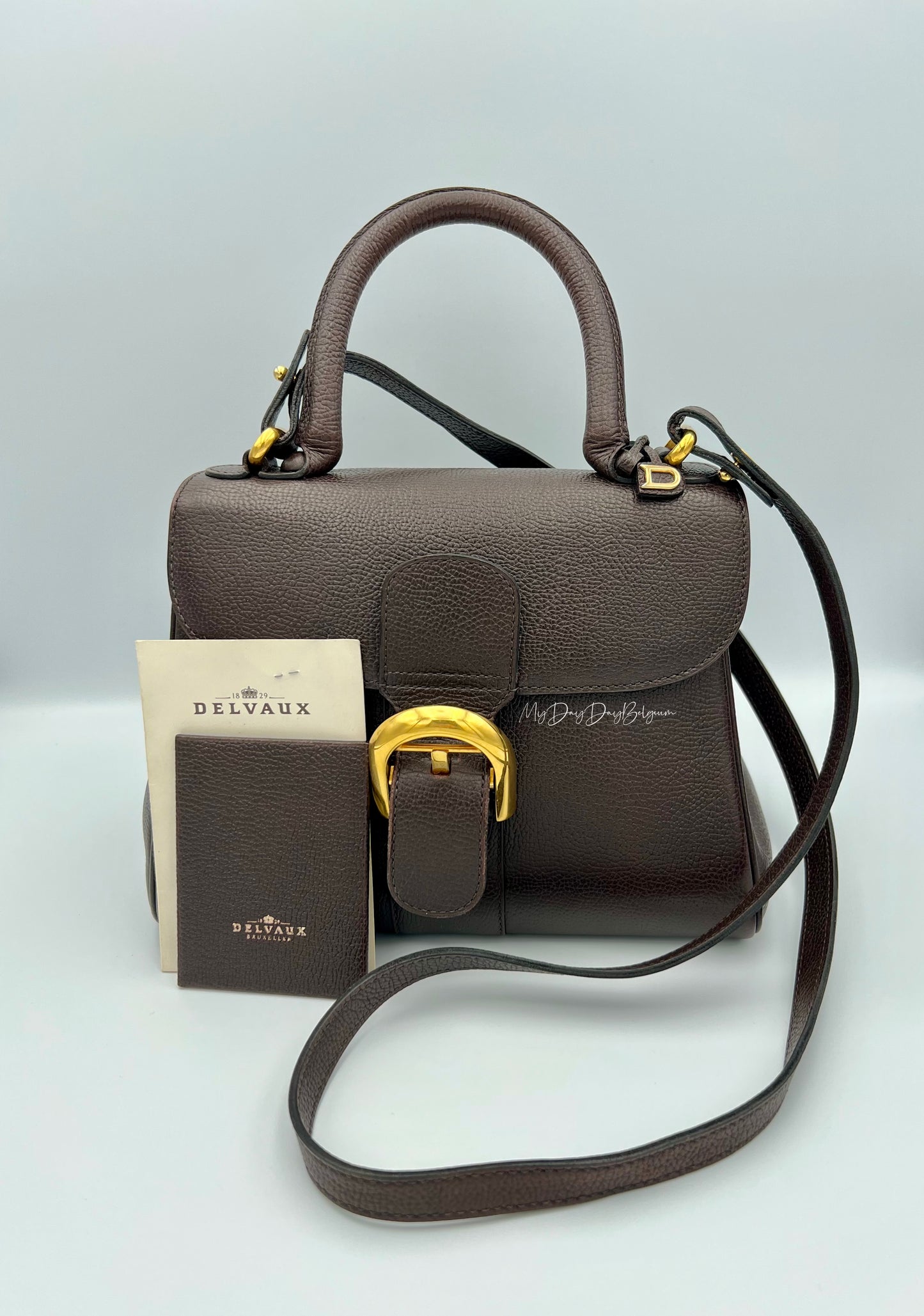 Delvaux Brillant PM in brown 1996