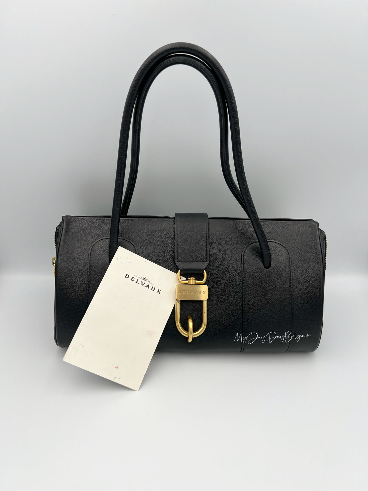 Vintage Delvaux George MM 2007