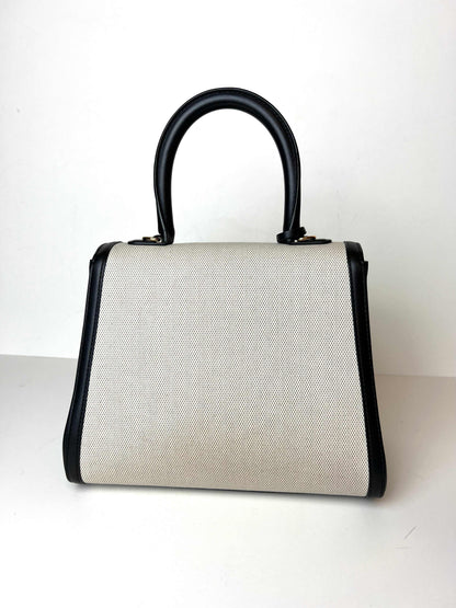 Delvaux Brillant PM canvas