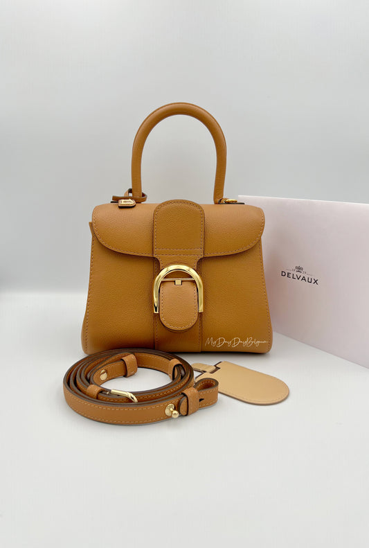 Delvaux Brillant Mini
