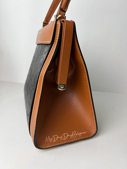 Delvaux Illusion Top Handle Black / Camel 1999