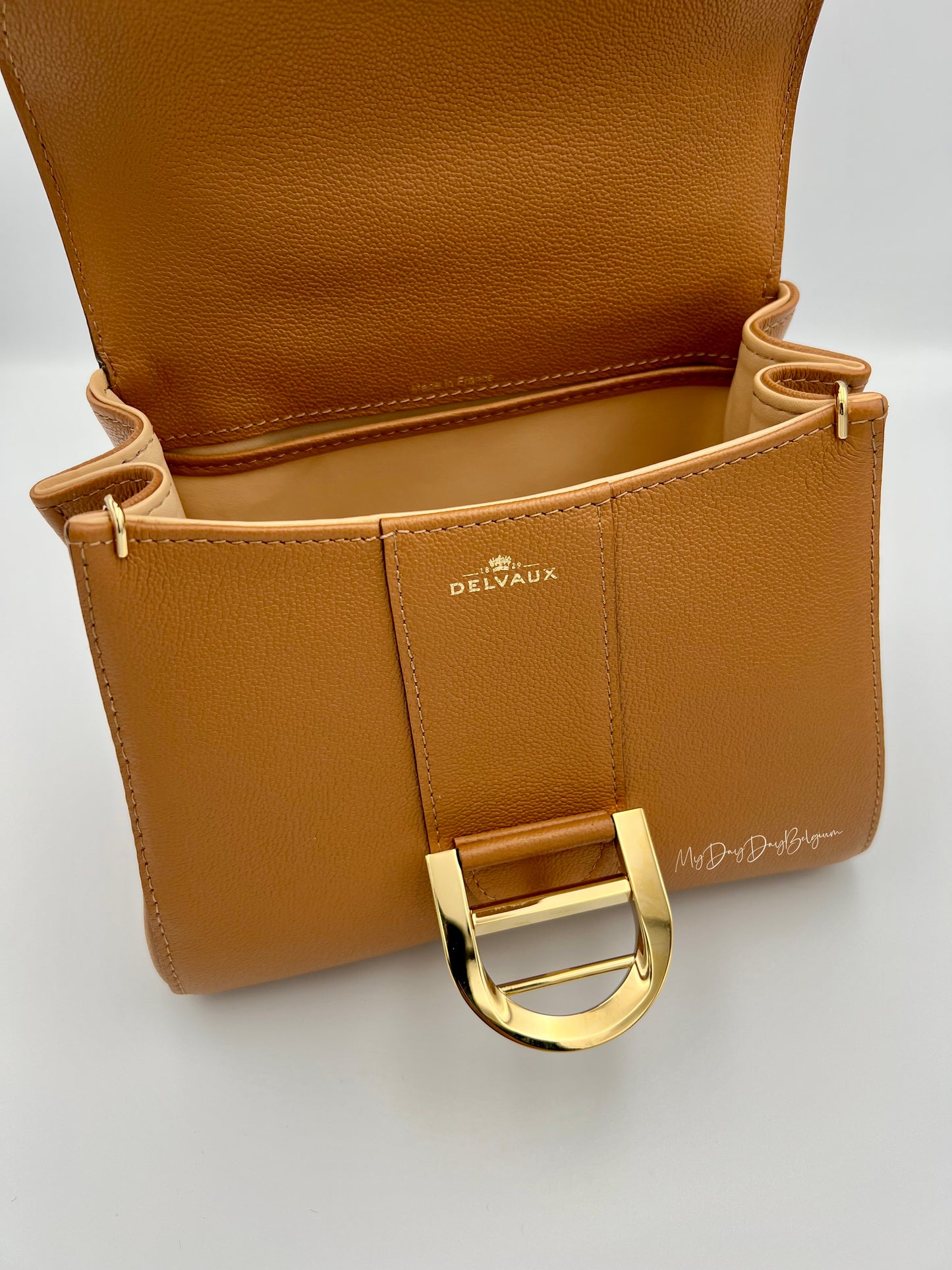 Delvaux Brillant Mini