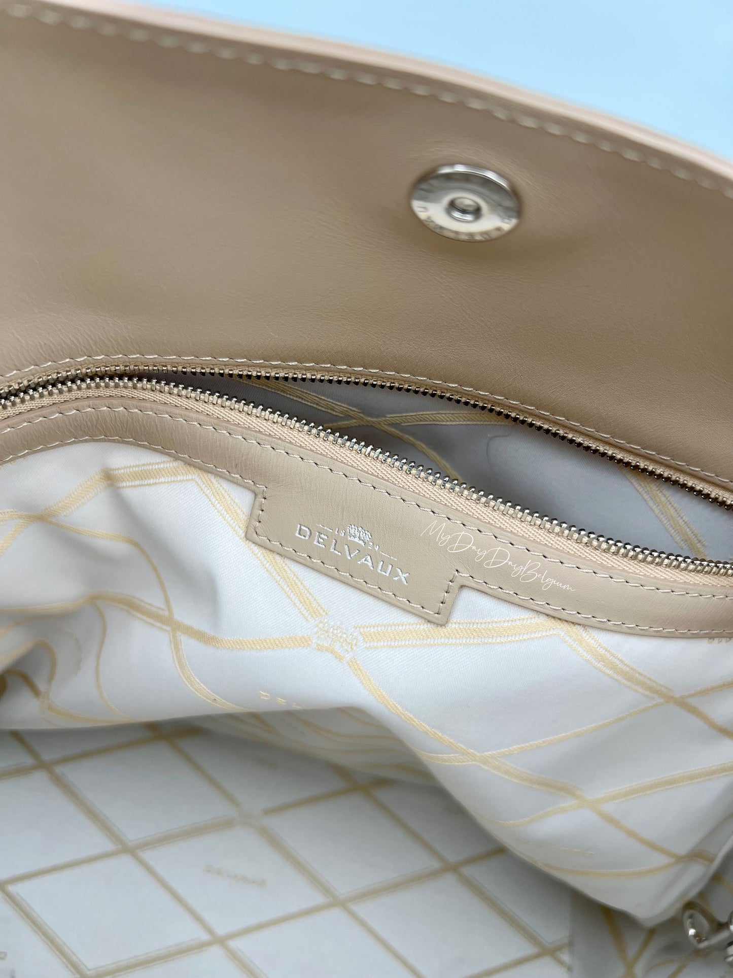 Delvaux Louise Hobo GM Allure 2014