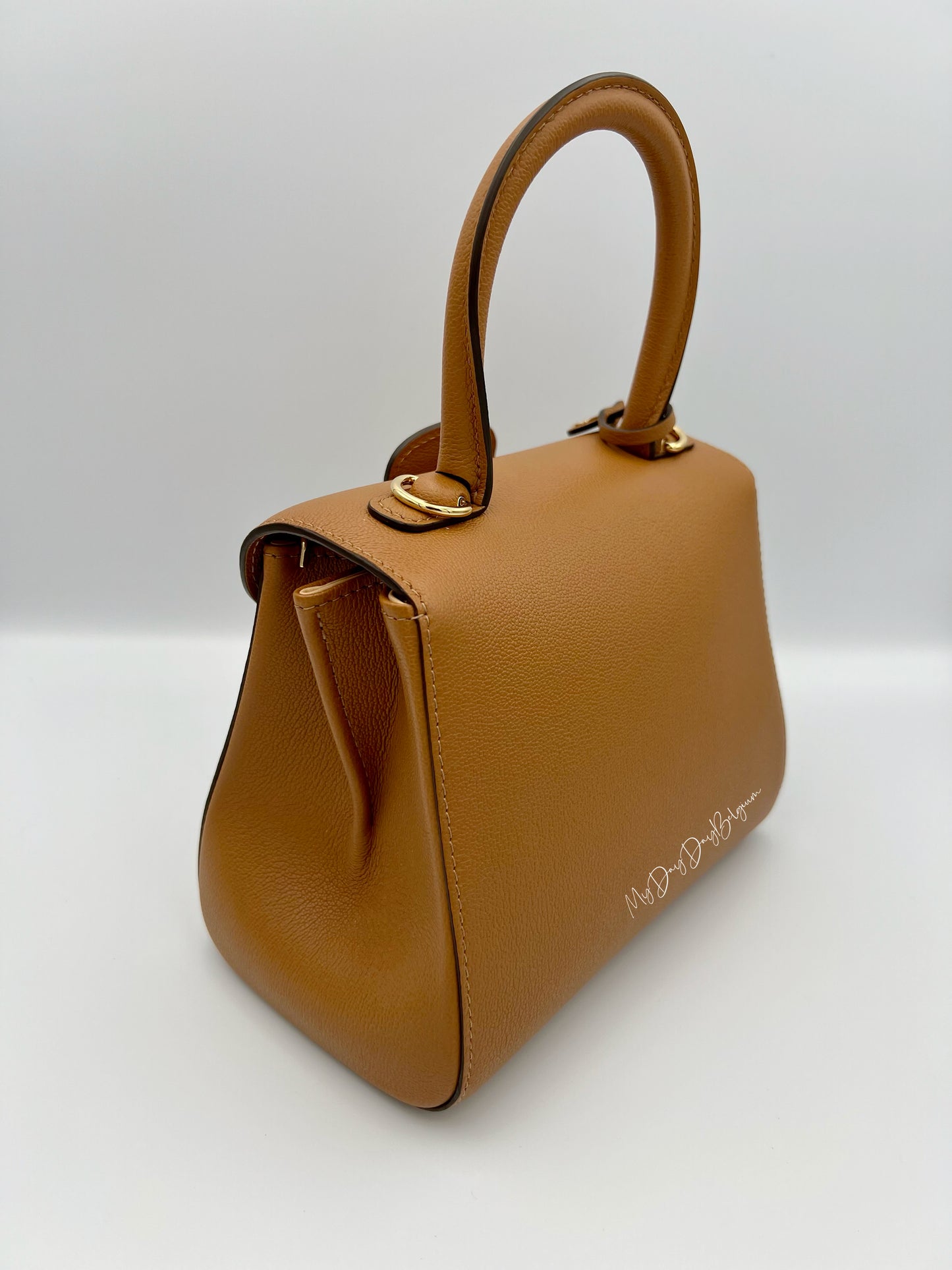 Delvaux Brillant Mini