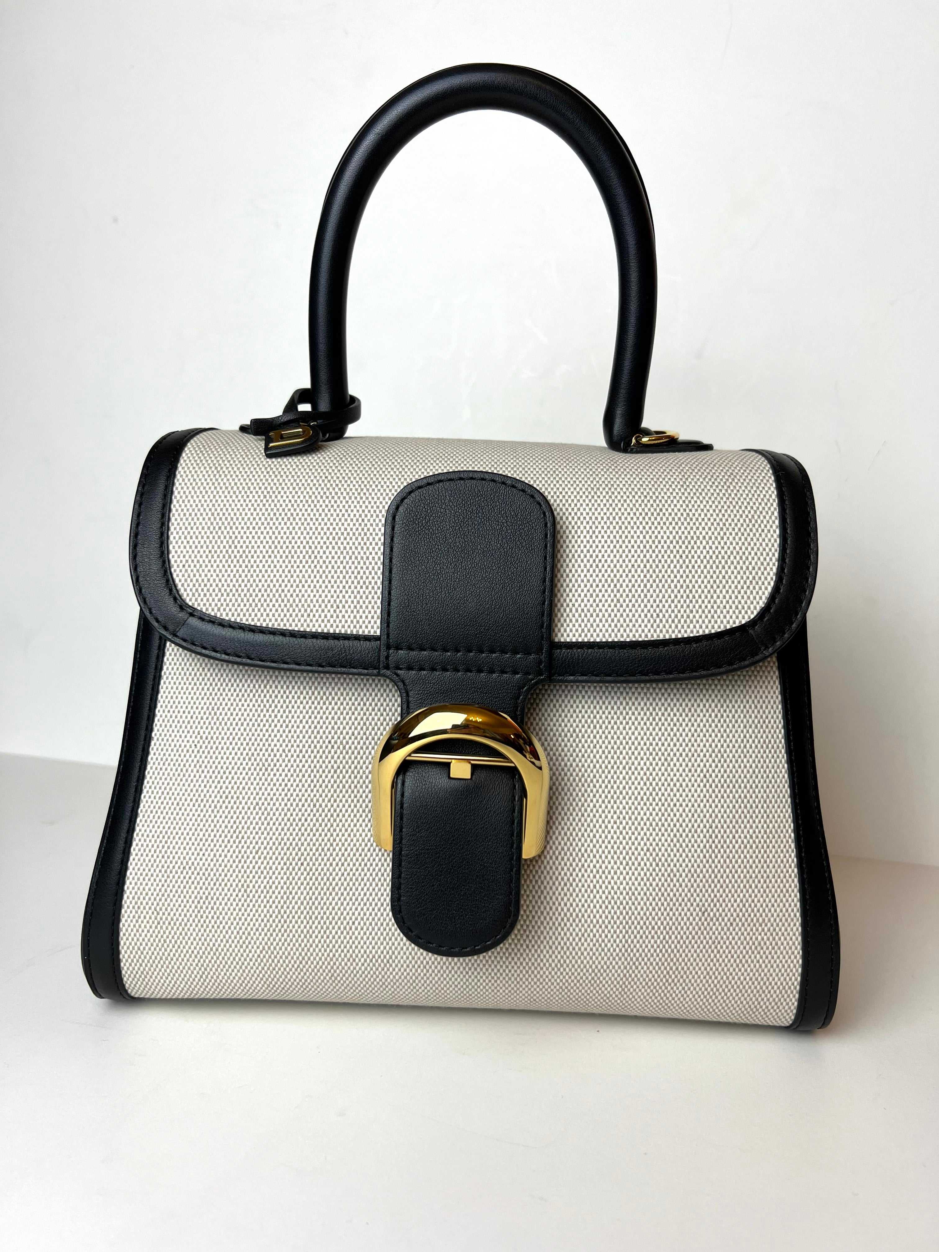 Delvaux brillant hk sale