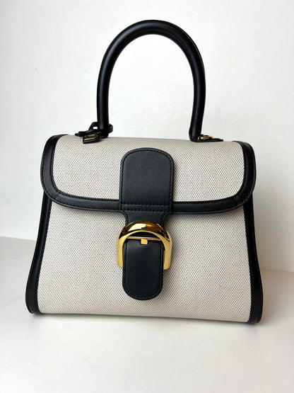 Delvaux Brillant PM canvas