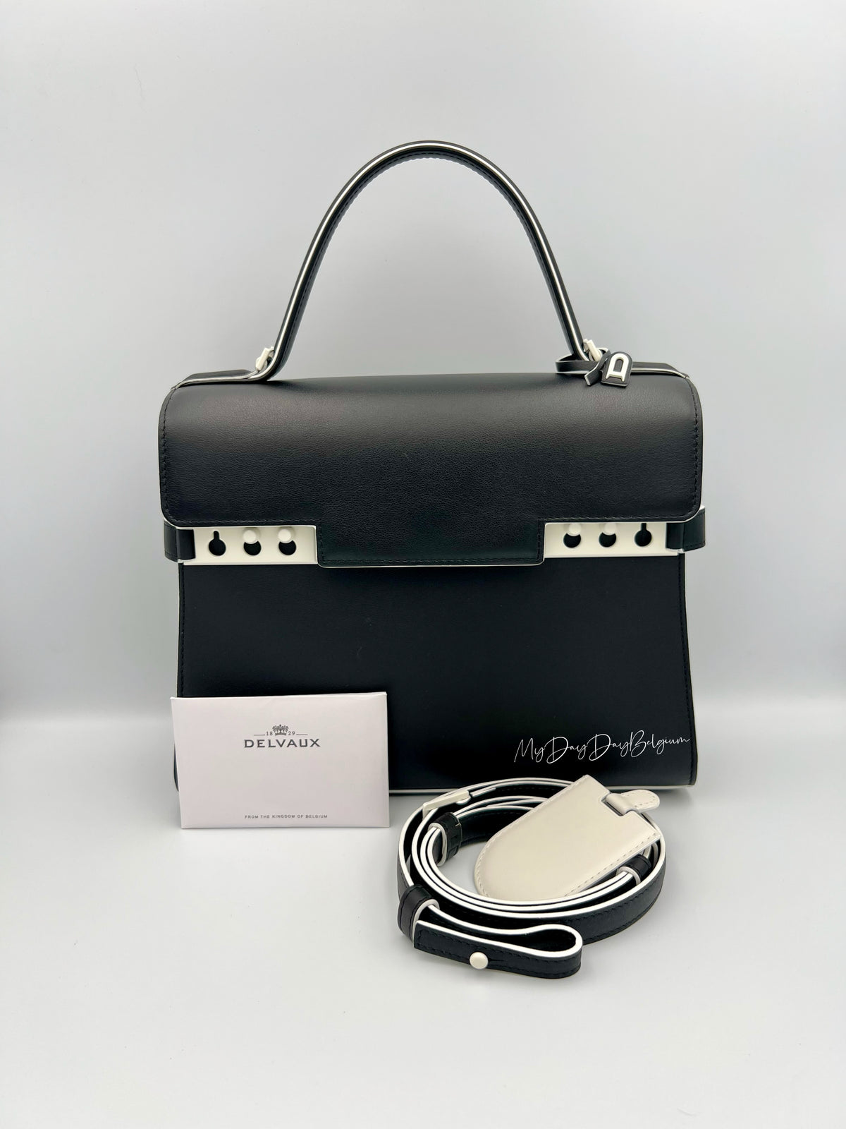 Delvaux Tempête Dans Les Nuages 2019 limited edition