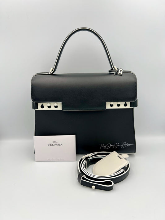 Delvaux Tempête Dans Les Nuages 2019 limited edition