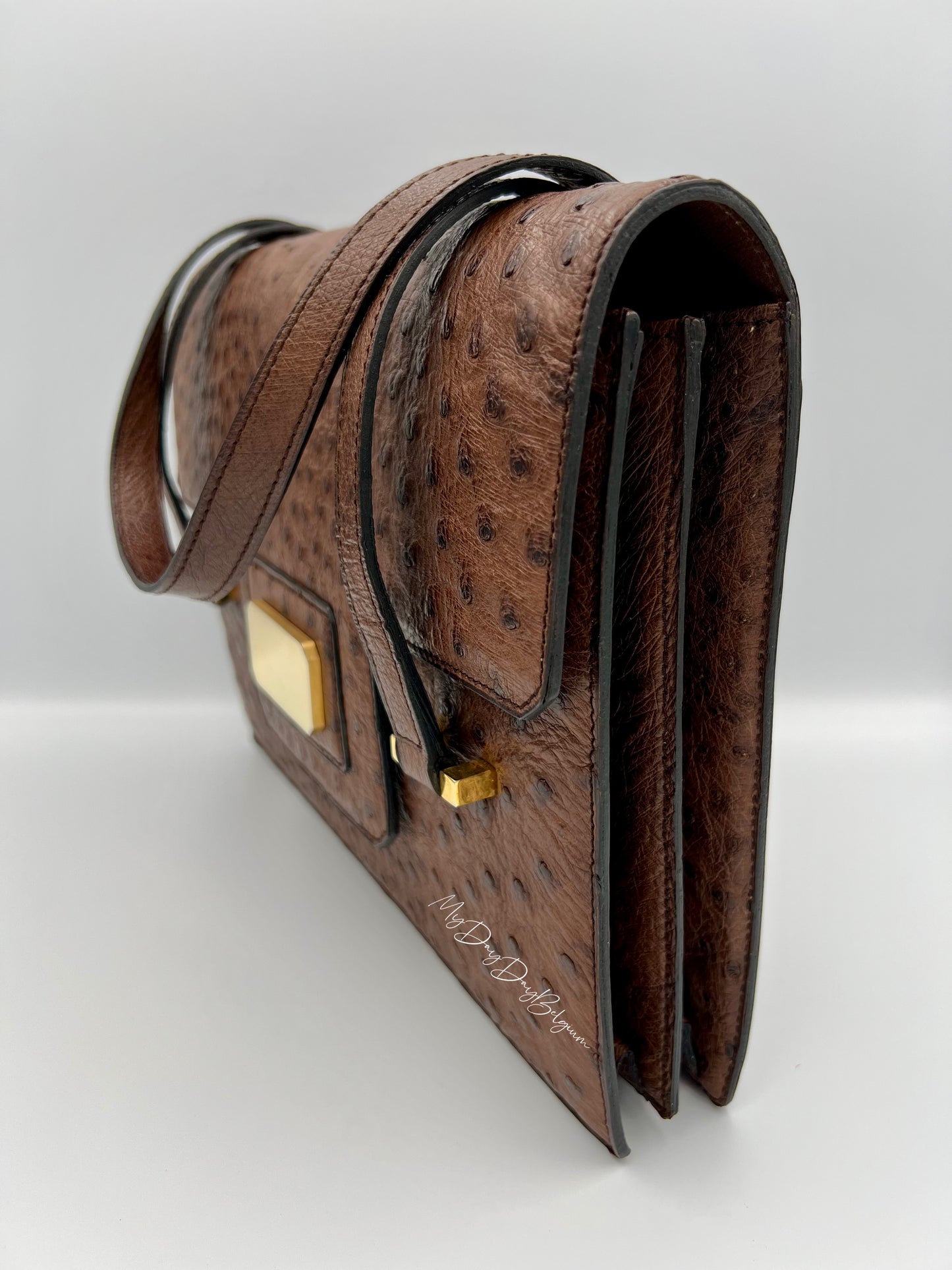 Delvaux ostrich 1976 shoulder/top handle bag