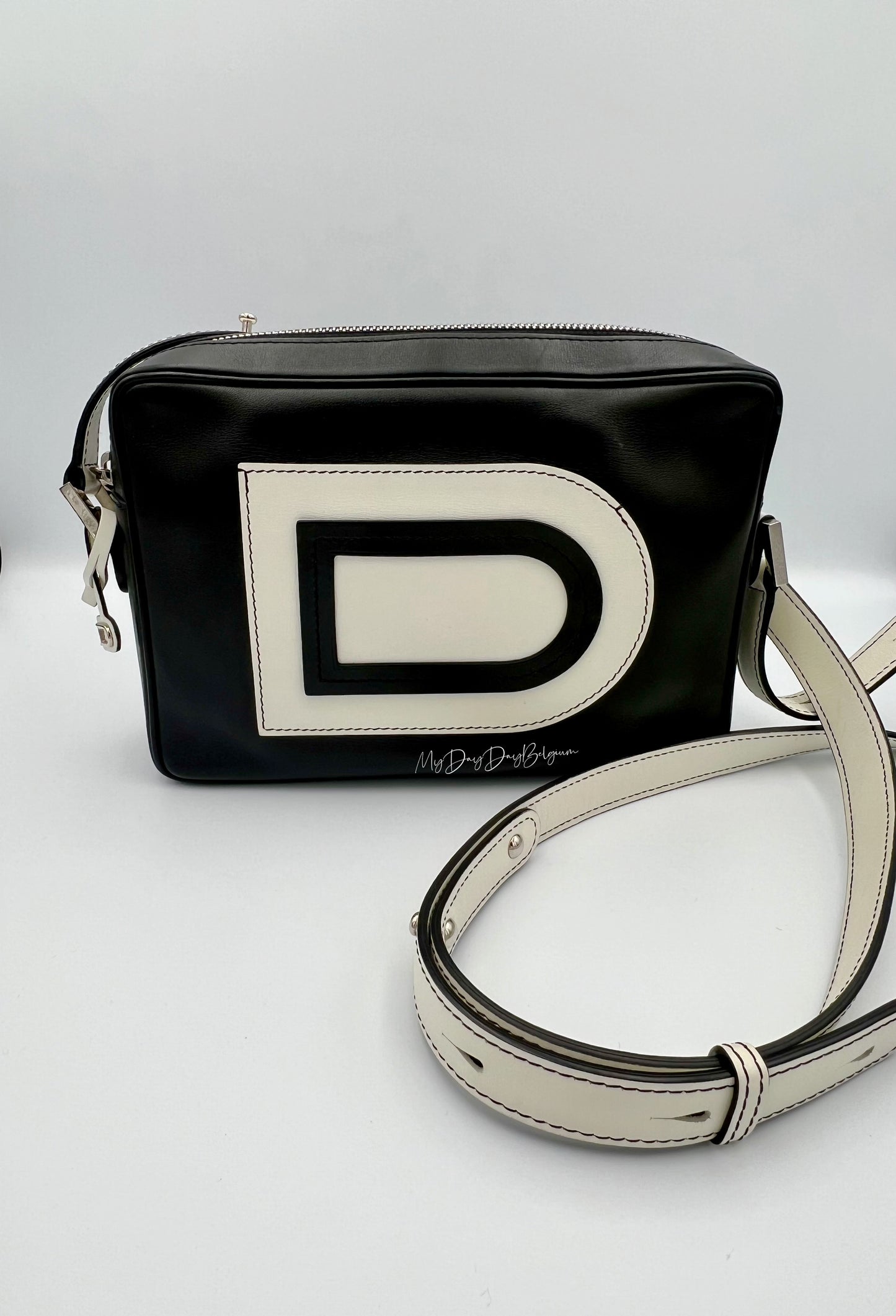 Delvaux Louise crossover camera bag 2015