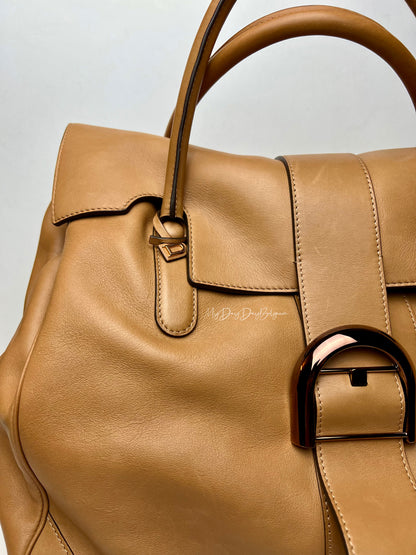 Delvaux Brillant XXL 2021 Végetal Colour