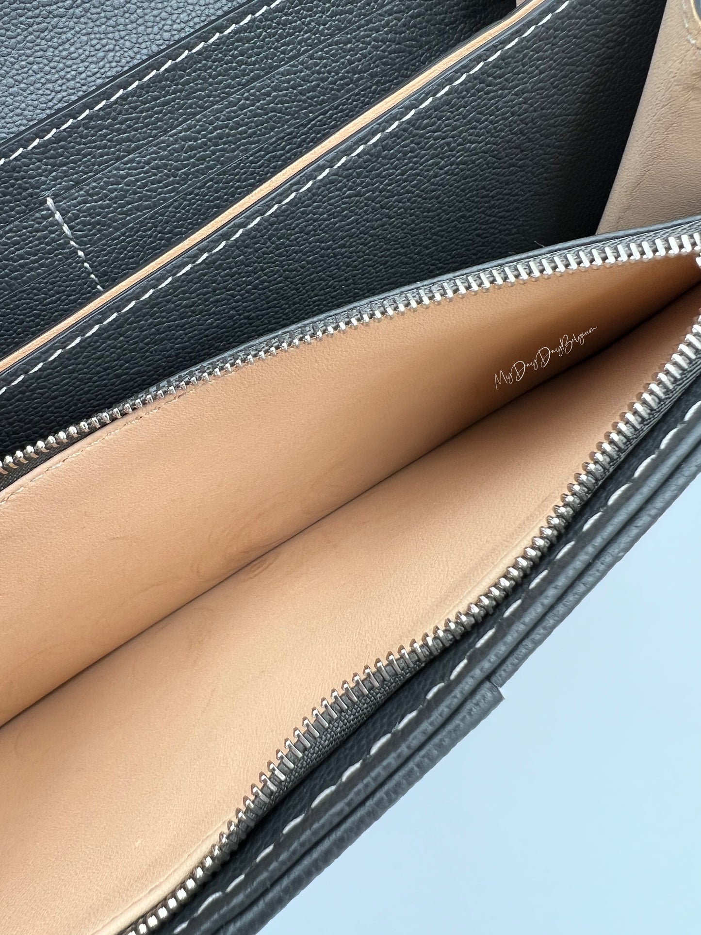 Delvaux Brillant Wallet on Chain Crossbody / Shoulder Bag stone 2023