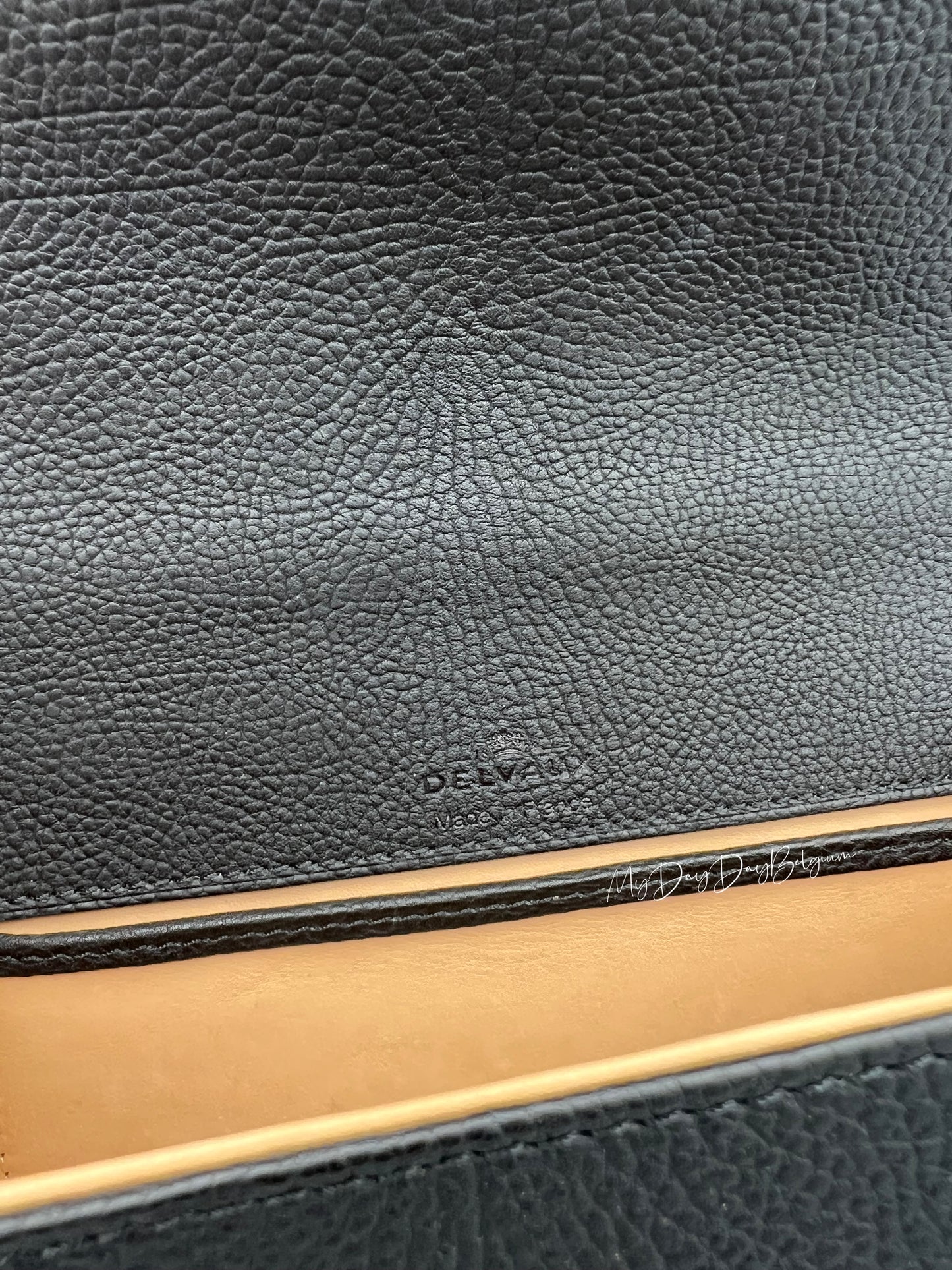 Delvaux Tempête PM so black limited edition crispy calf 2022