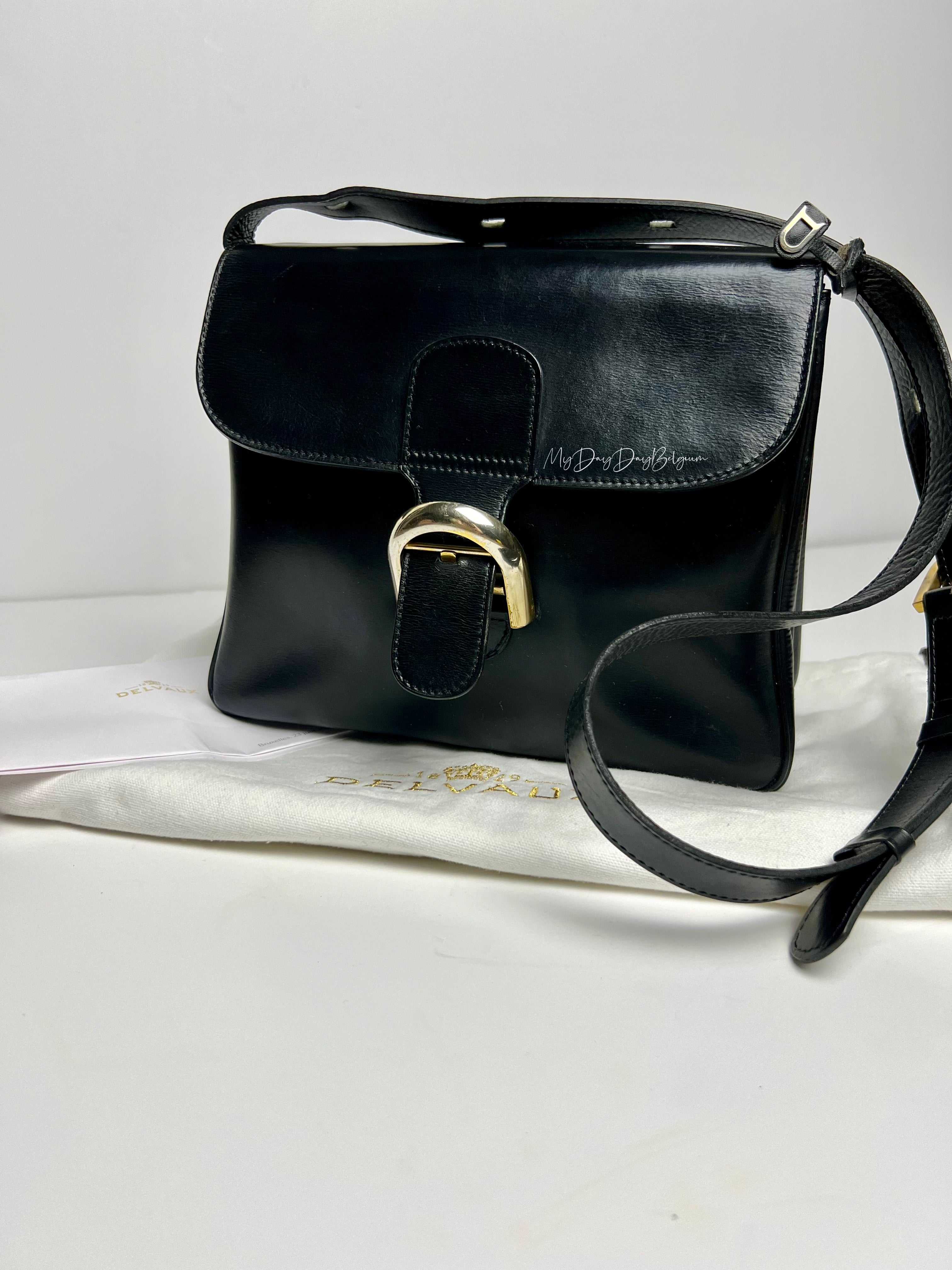 Delvaux Festival 1971 - Vintage Leather Bag – MyDayDayBelgium