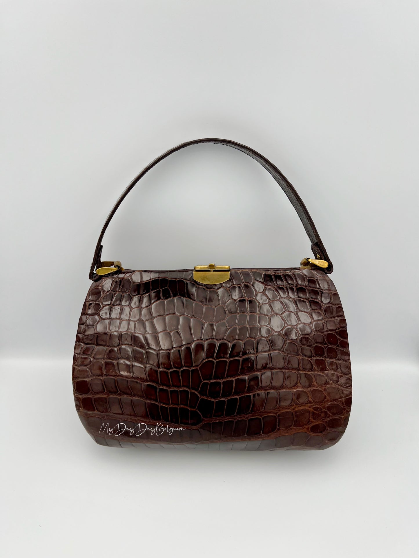Vintage Delvaux exotic top handle 1954