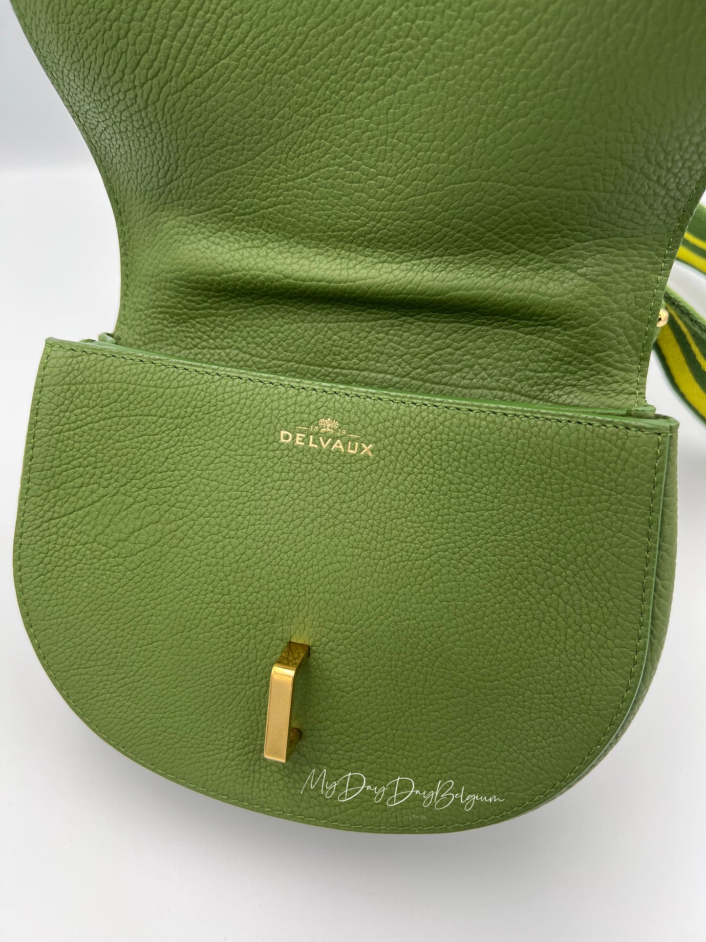 Delvaux Mutin Mini Empire crossbody bag 2017