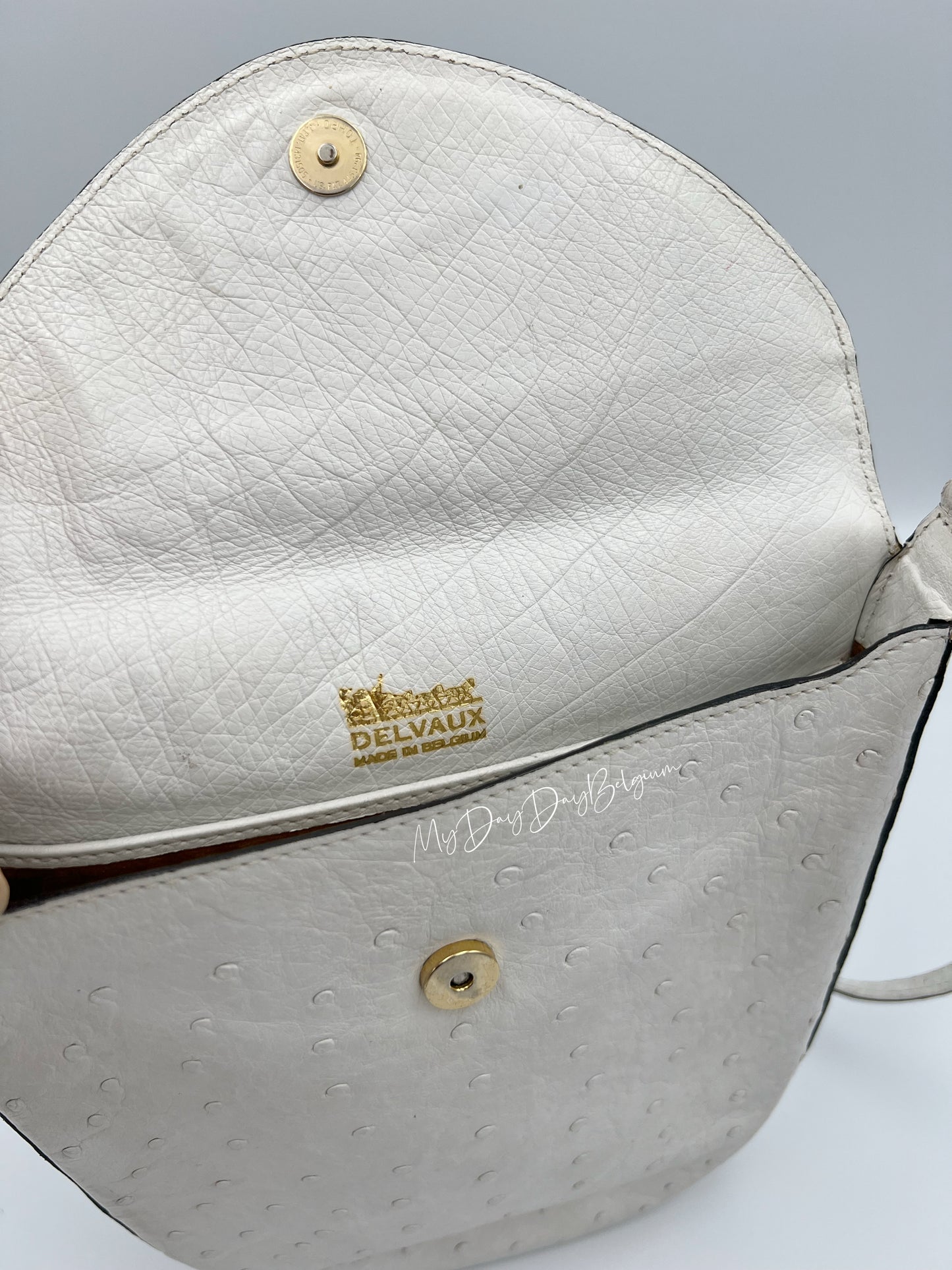 Vintage Delvaux ostrich crossbody 1980’s