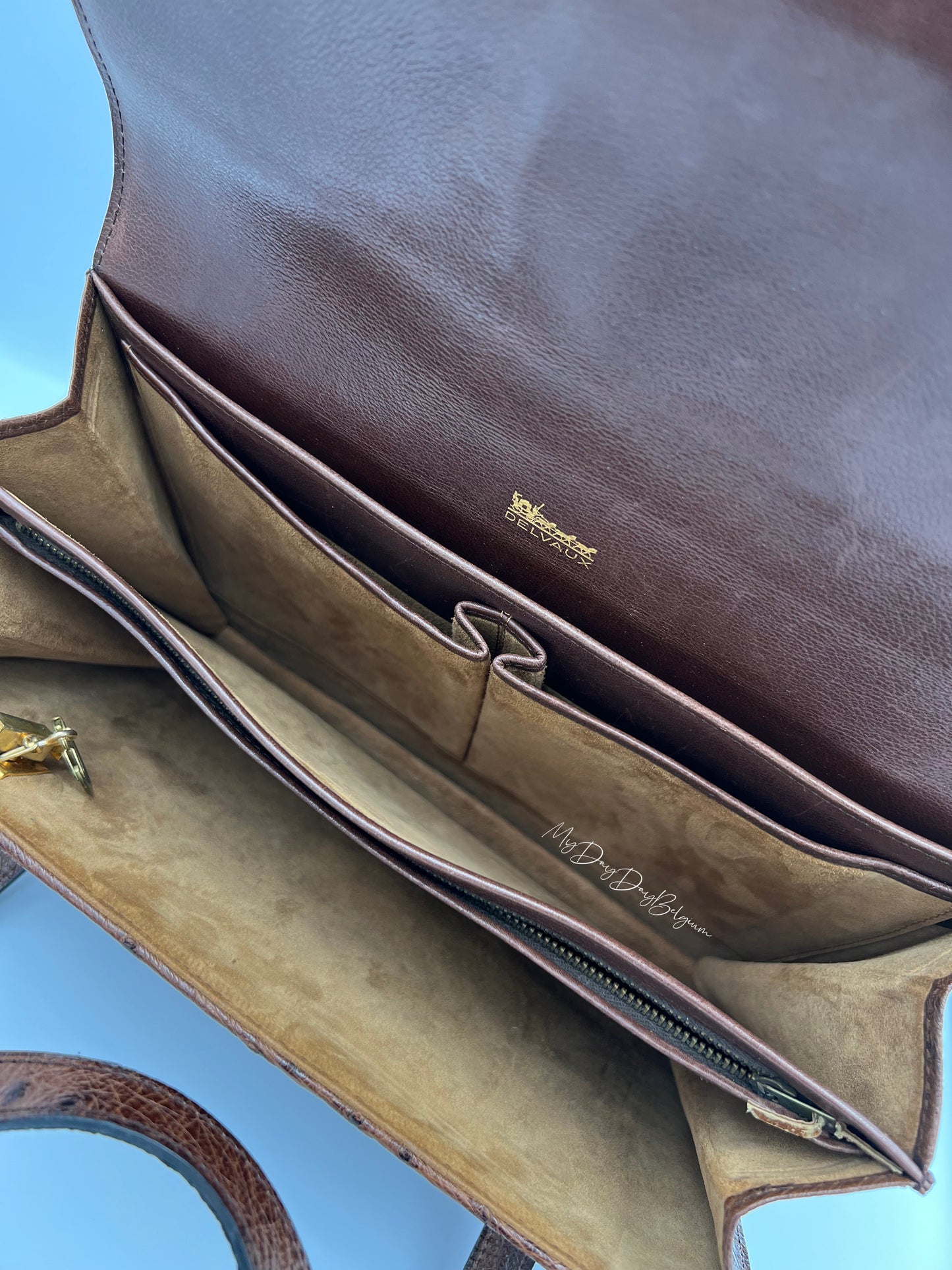 Delvaux ostrich 1976 shoulder/top handle bag