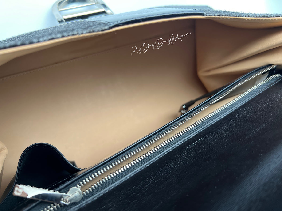 Delvaux Brillant East West 2018