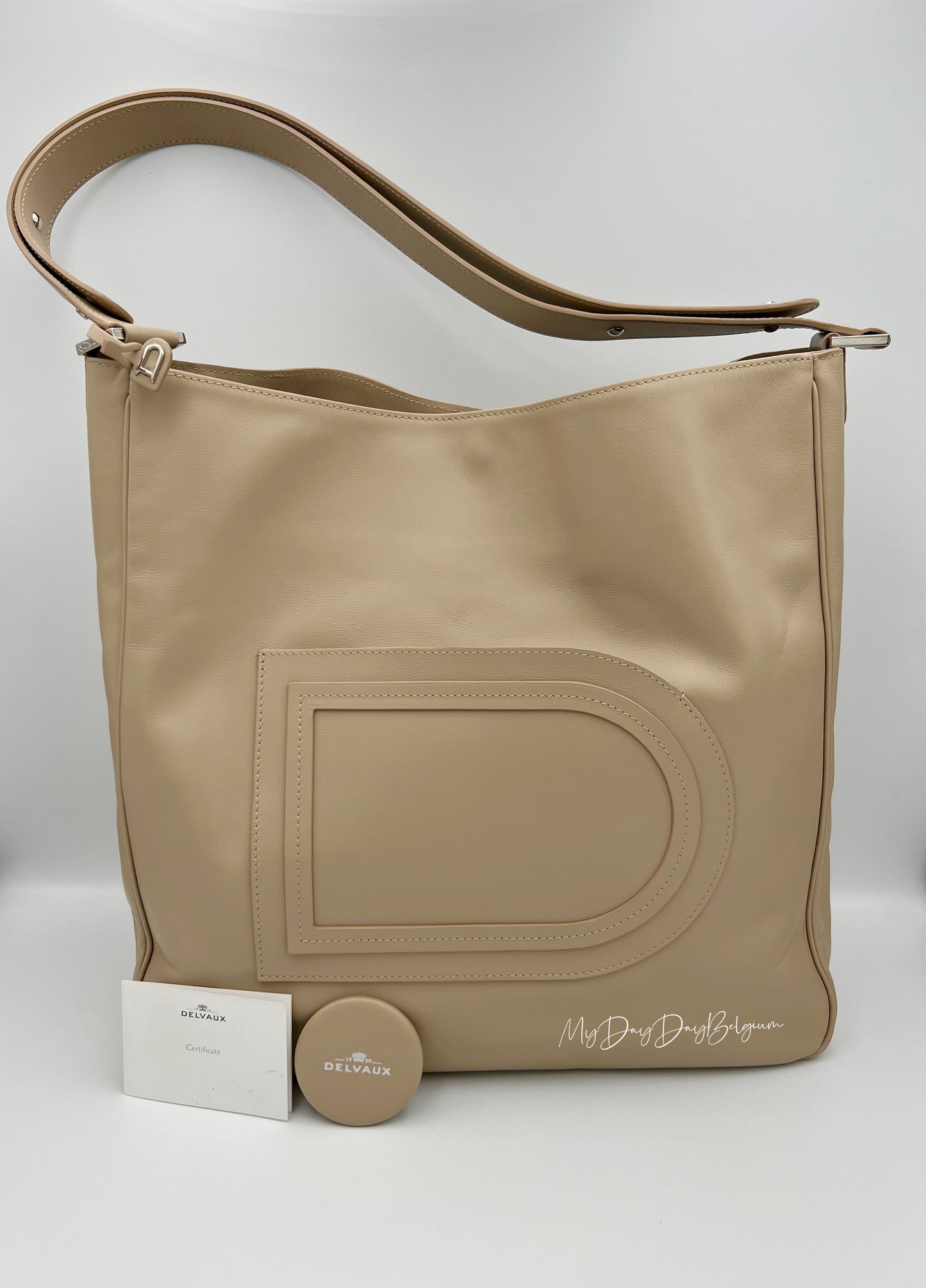 Delvaux Louise Hobo GM Allure 2014