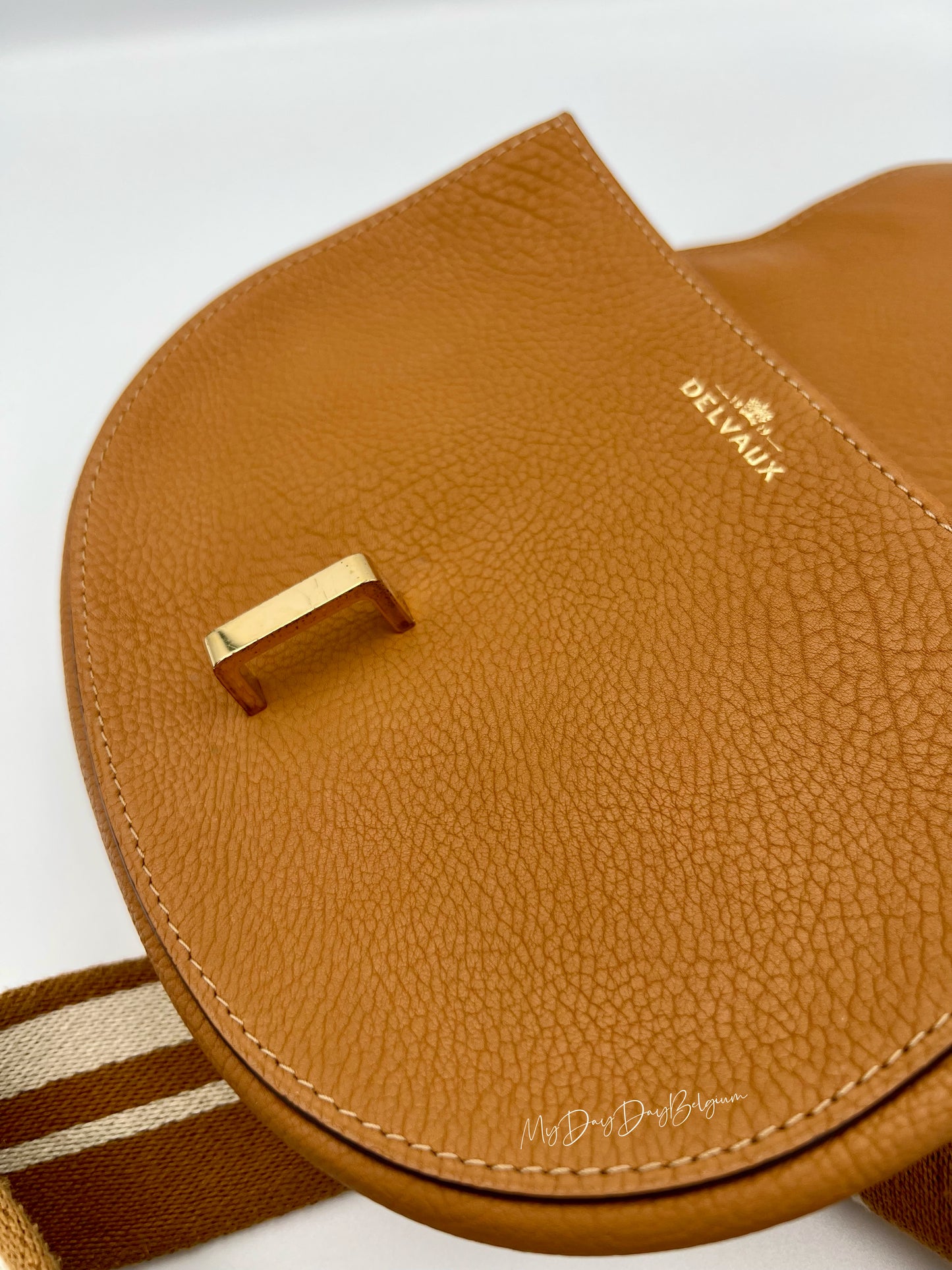 Delvaux Mutin mini crossbody bag crispy calf vegetal 2018