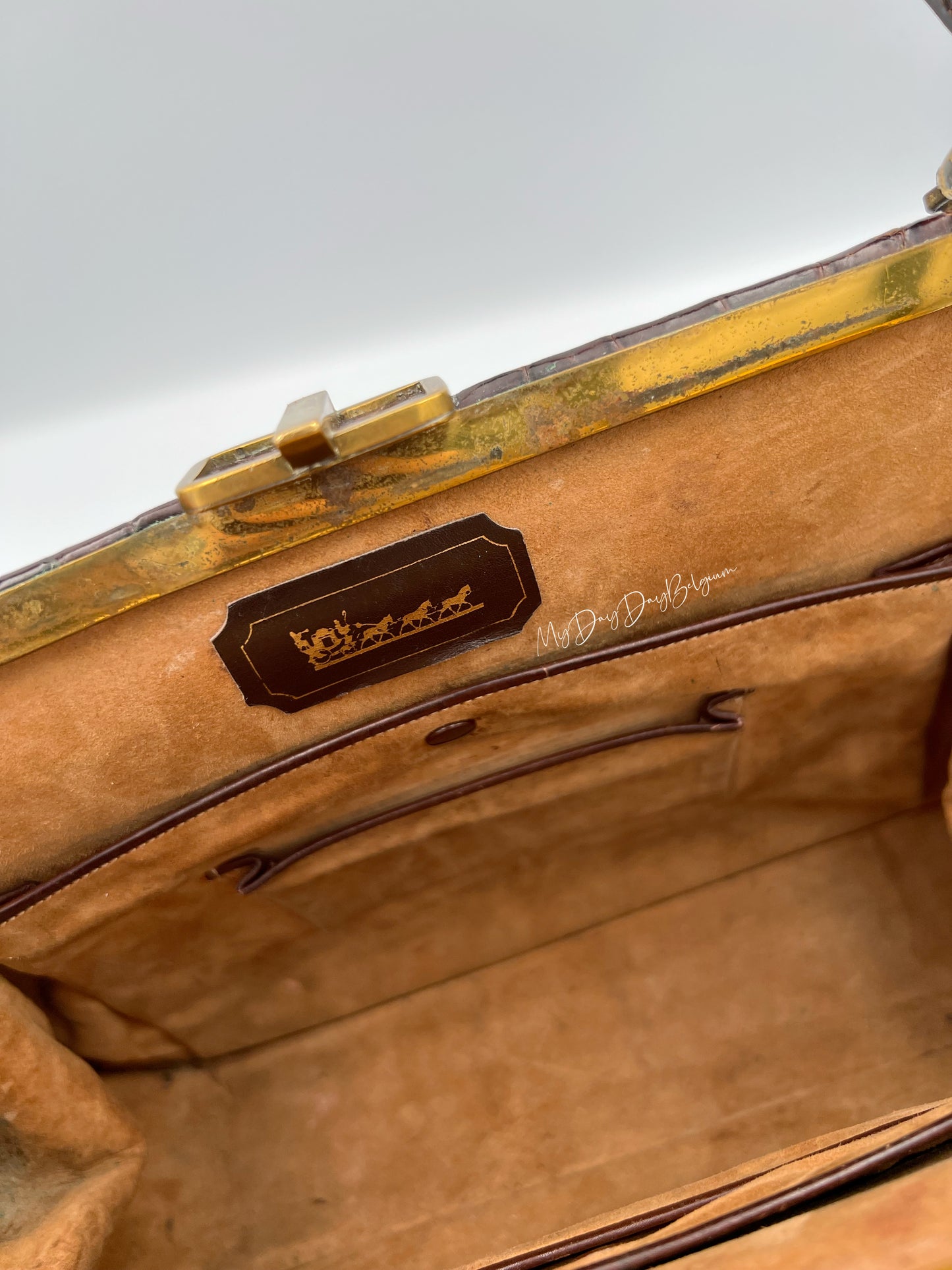 Vintage Delvaux exotic top handle 1954