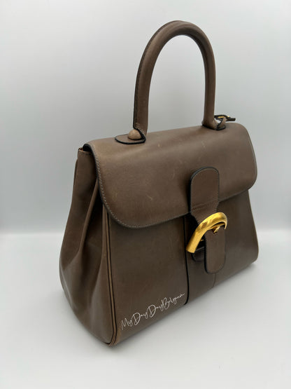 Vintage Delvaux Brillant MM 1980s