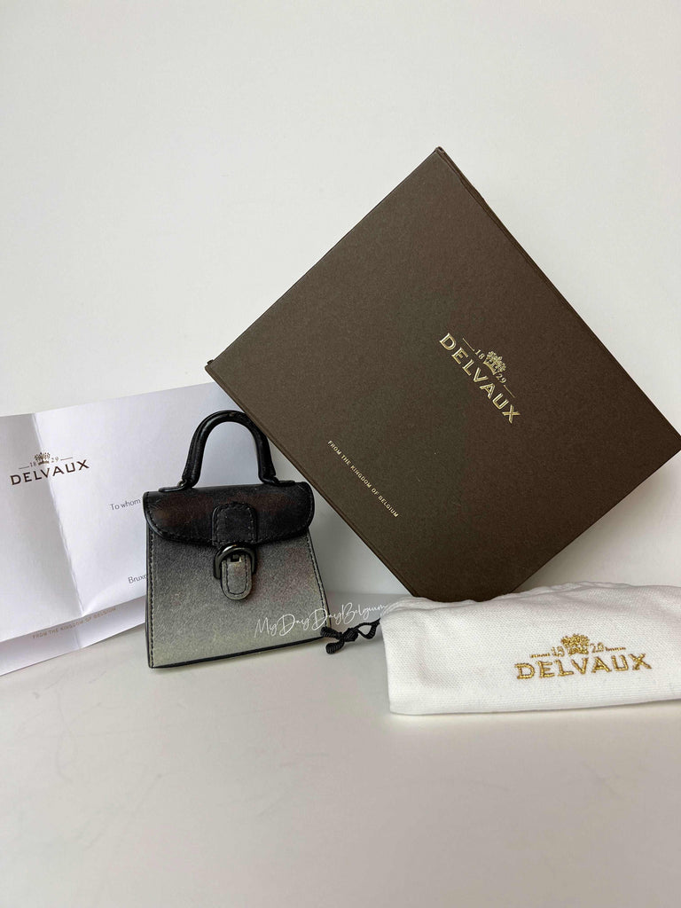 新色【DELVAUX】Brillant Charms Namur C8B4FCDA-8C7F-4850-8BD3-