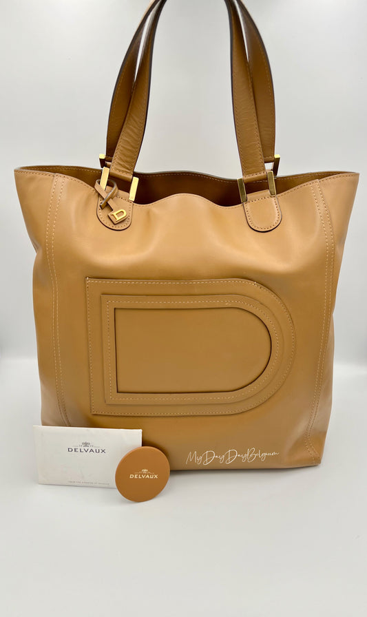 Delvaux Louise Tote Cadence bag vegetale 2015
