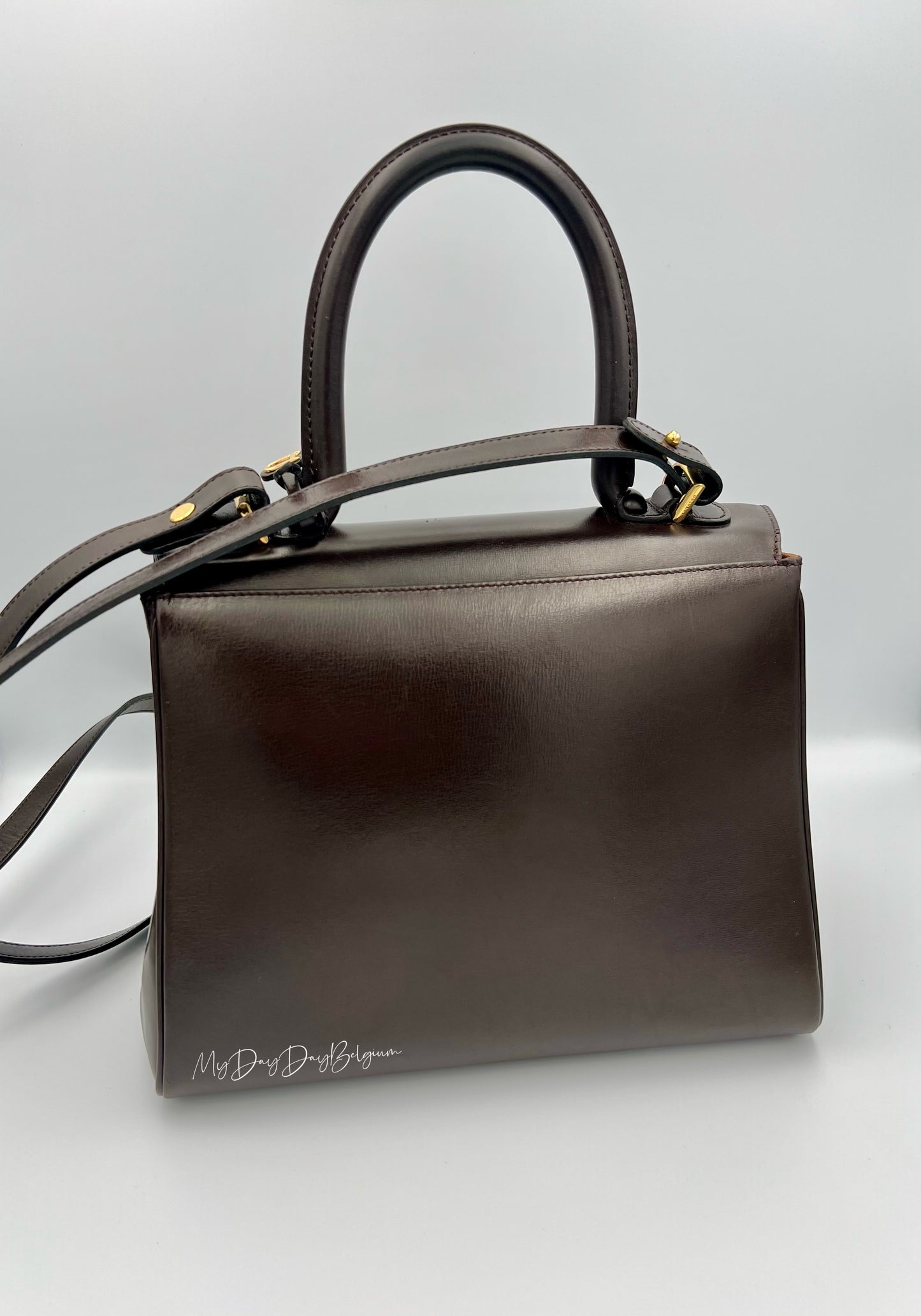 Delvaux Brillant MM in brown