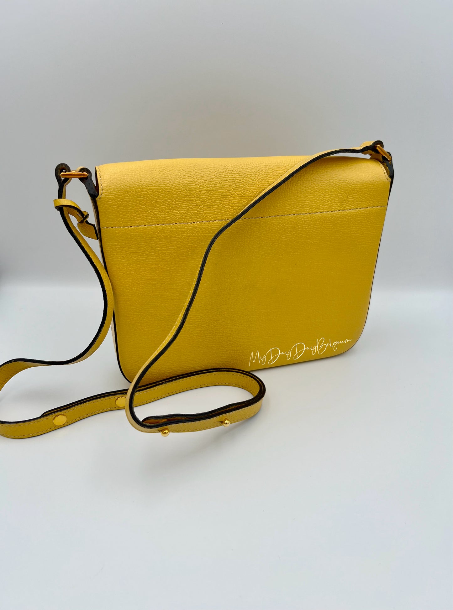 Delvaux crossbody in jumping leather pollen colour 1980s