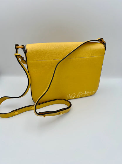 Delvaux crossbody in jumping leather pollen colour 1980s
