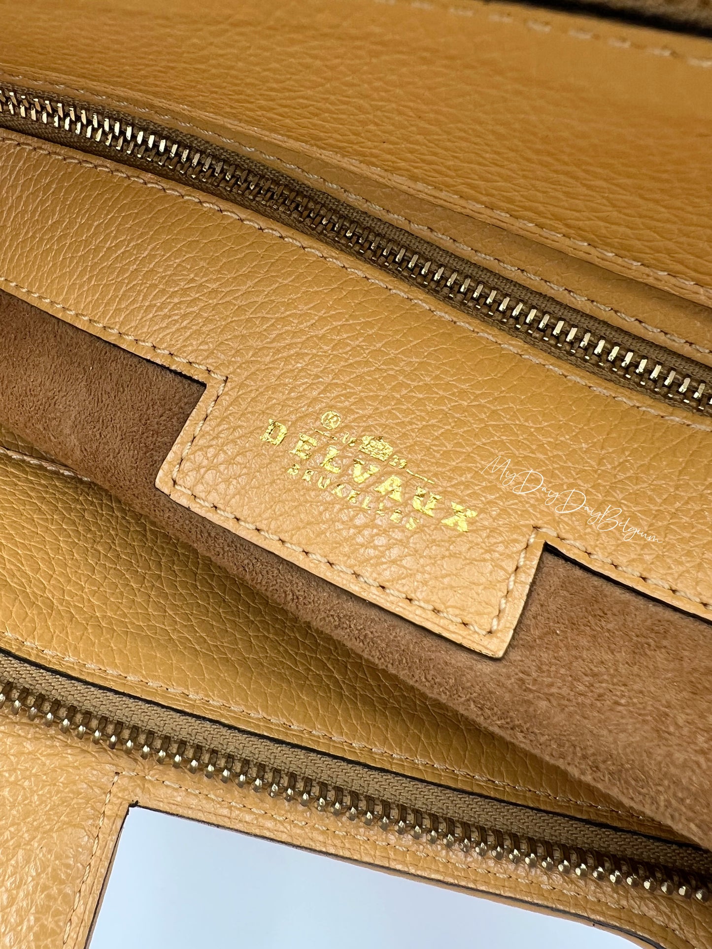 Delvaux toile de cuir top handle