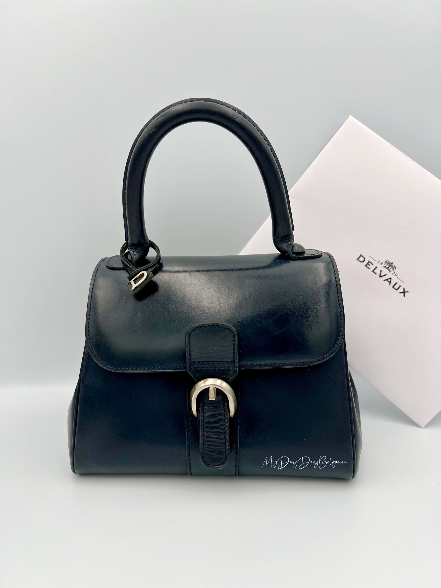 Vintage Delvaux Brillant 1966 special edition