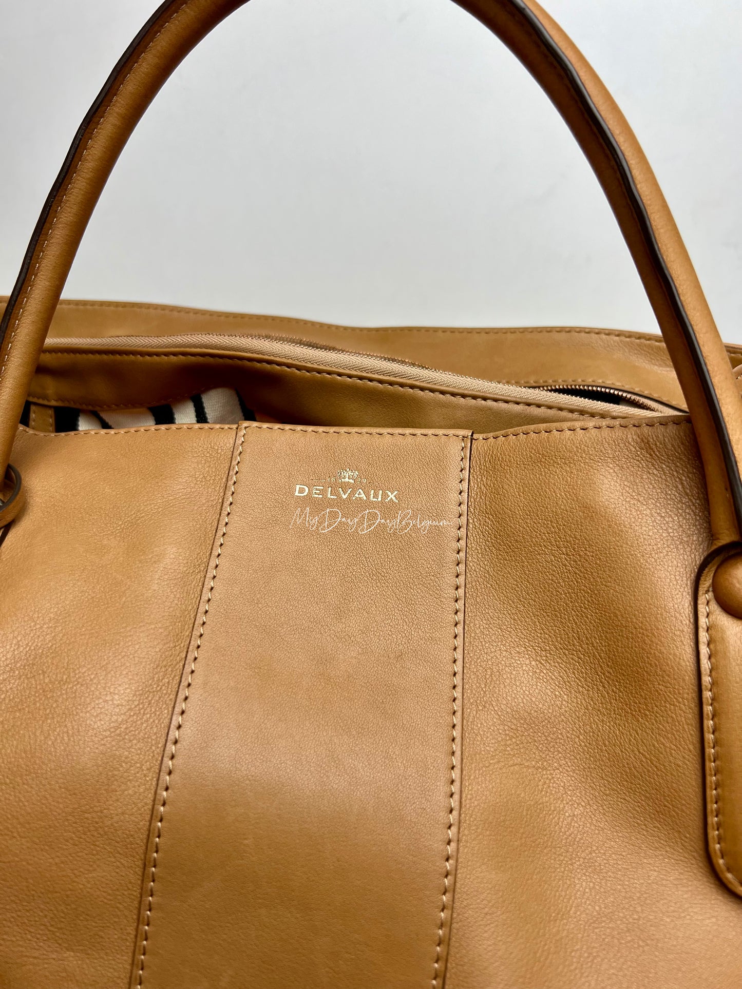 Delvaux Brillant XXL 2021 Végetal colour