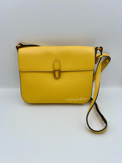Delvaux crossbody in jumping leather pollen colour 1980s